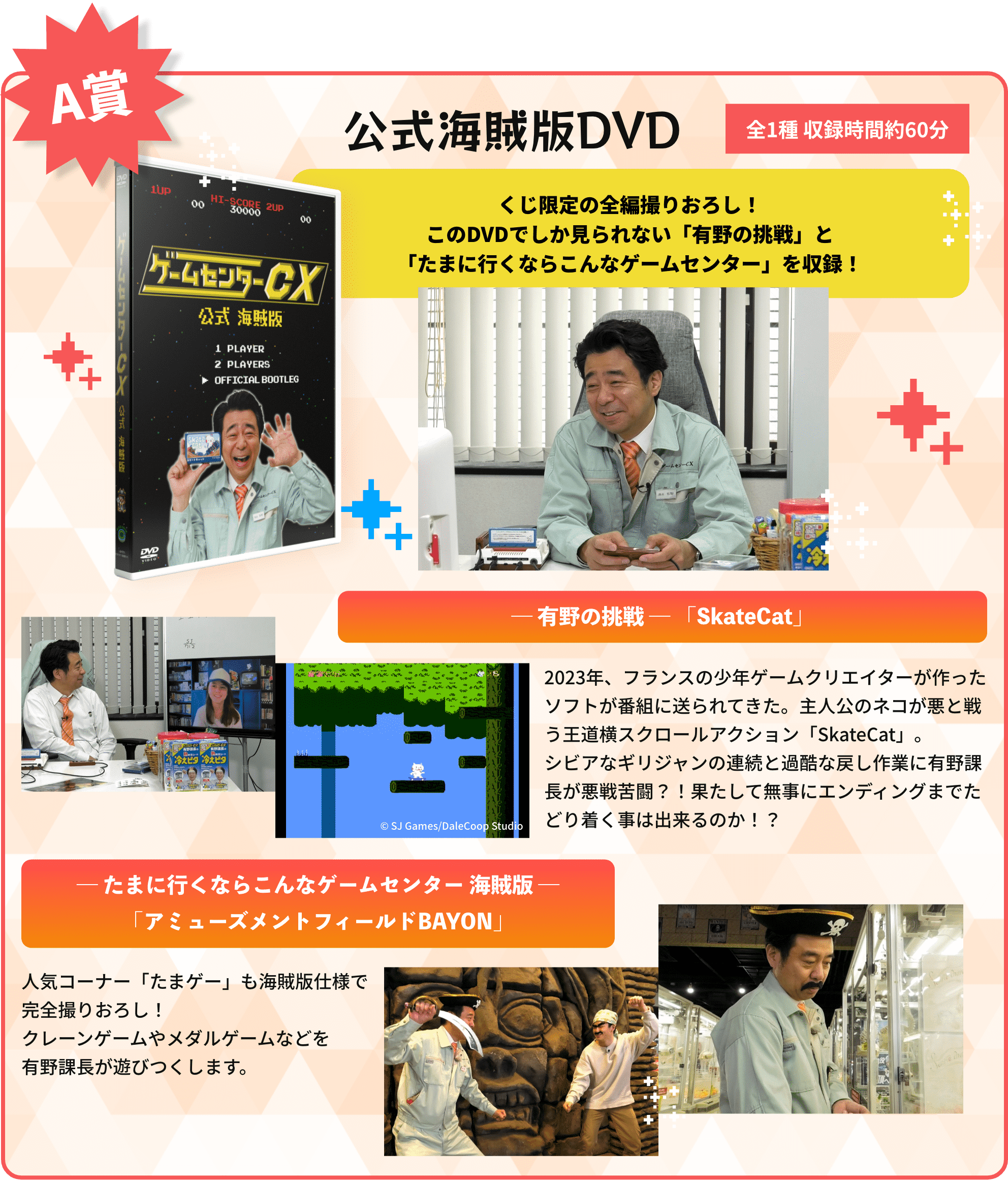 A賞 公式海賊版DVD
